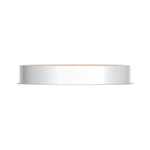 Classic Two-Tone Flat Wedding Band in High Polish
