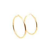 Precious Metal (No Stones)  Earring