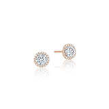 Diamond Stud Earrings