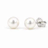 14K White Gold Stud Pearl Earrings
